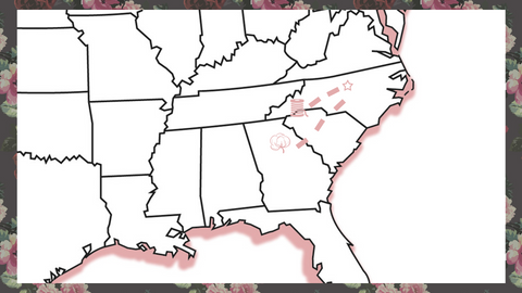 Cotton and Elastane to North Carolina Map