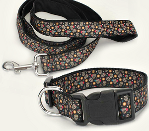 matching collar and leash