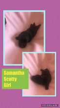 SOLD- Click On Picture For More Info- Deposit for Samantha