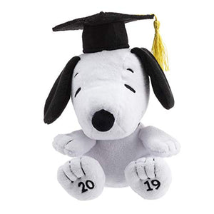 graduation stuffed dog