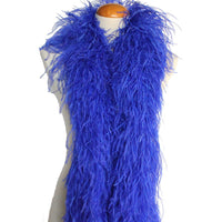 blue ostrich feathers