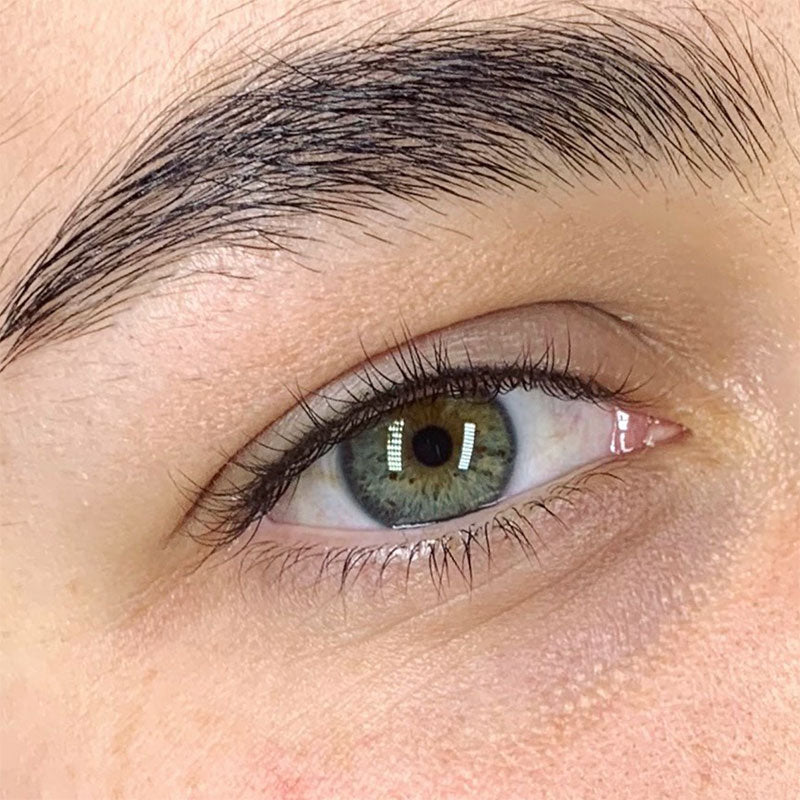 Lash line 2024