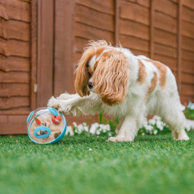 play wobble ball