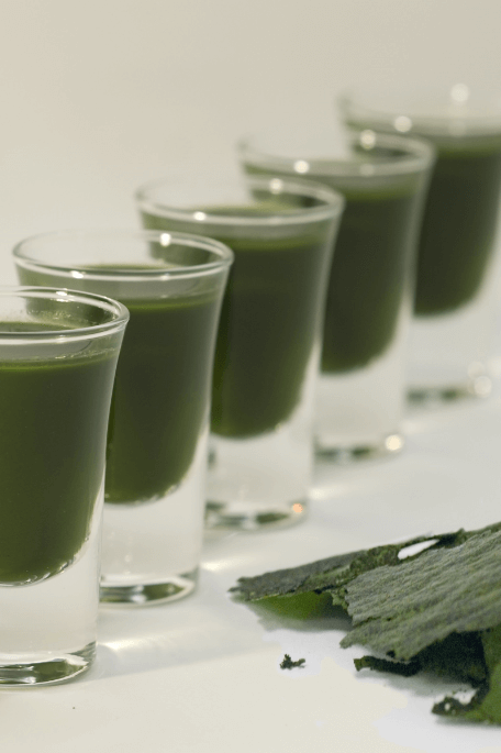 Ingredient Spotlight: Chlorella Vulgaris