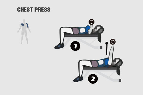 What Muscles Does Bench Press Work bench press
