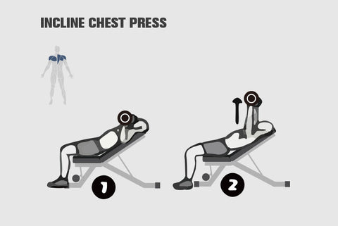 What Muscles Does Bench Press Work incline dumbell press