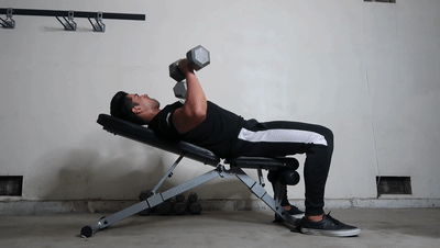 ritfit home workout bench incline dumbbell bench press