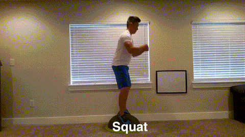 14 Best Bosu Ball Exercises for Beginners Squat