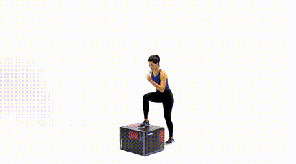 12 Best Plyo Box Exercises for Beginners Single Leg Step Up Jump