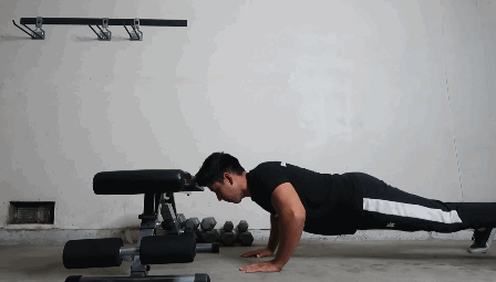 ritfit home workout bench Plyo Bench Plank Hold
