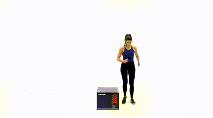 12 Best Plyo Box Exercises for Beginners Lateral Step Up