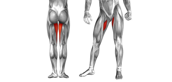 How to Do Banded Hip Thrust – Muscles Worked, Variations, and Alternatives