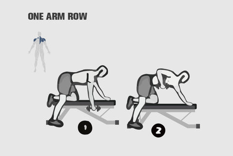 What Muscles Does Bench Press Work one arm row