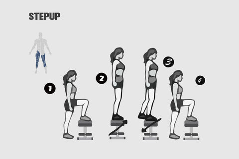 What Muscles Does Bench Press Work Step Up 