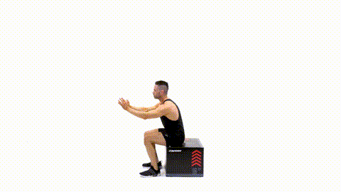 RitFit foam plyo box 12 days of fitmas: D9 squat jump