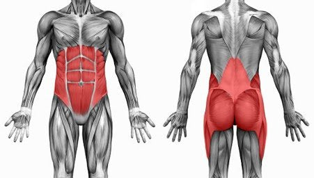 How to Do Banded Hip Thrust – Muscles Worked, Variations, and Alternatives