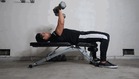 ritfit workout bench exercises Dumbbell Bench Press