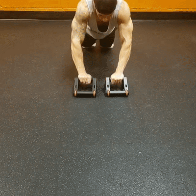 Ab Roller Exercises Front & Side Raise With Ab Rollers