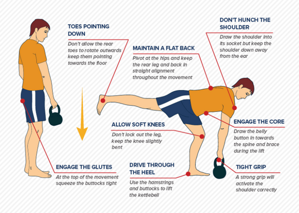 How to Do A Single-Leg Romanian Deadlift - Forms, Benefits and Muscles  Worked