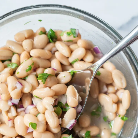 white bean plant based protein