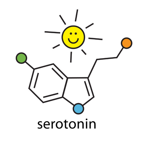 Dopamine and Serotonin