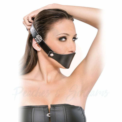 3-in-1 Mouth Gag with 3 Mouthpieces, Nose Hook and Muzzle