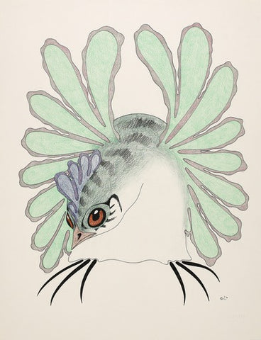 colourful drawing of preening bird with wings raised