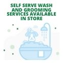 Self Dogs Wash and Grooming offered at Choice Pet Ridgefield Connecticut location