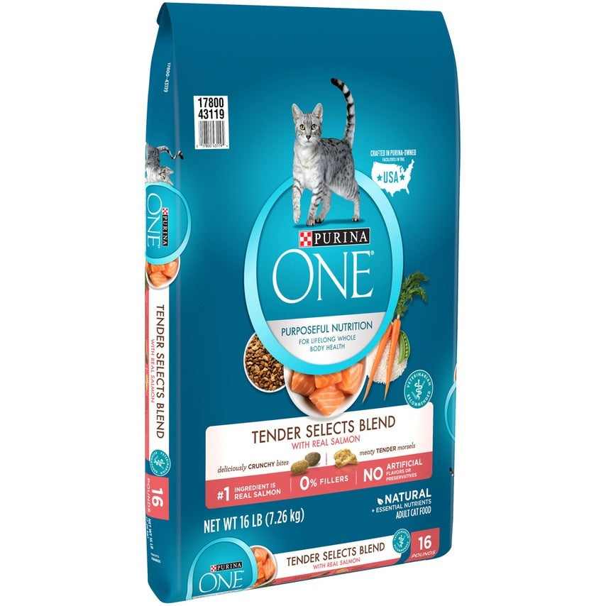 Voorstellen barst Paard Purina ONE Tender Selects Blend Real Salmon Dry Cat Food – Choice Pet