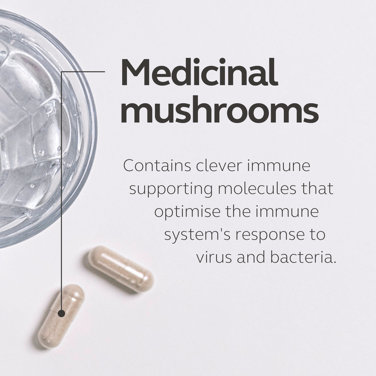 Food_Grown Immune Support - Medicinal Mushrooms