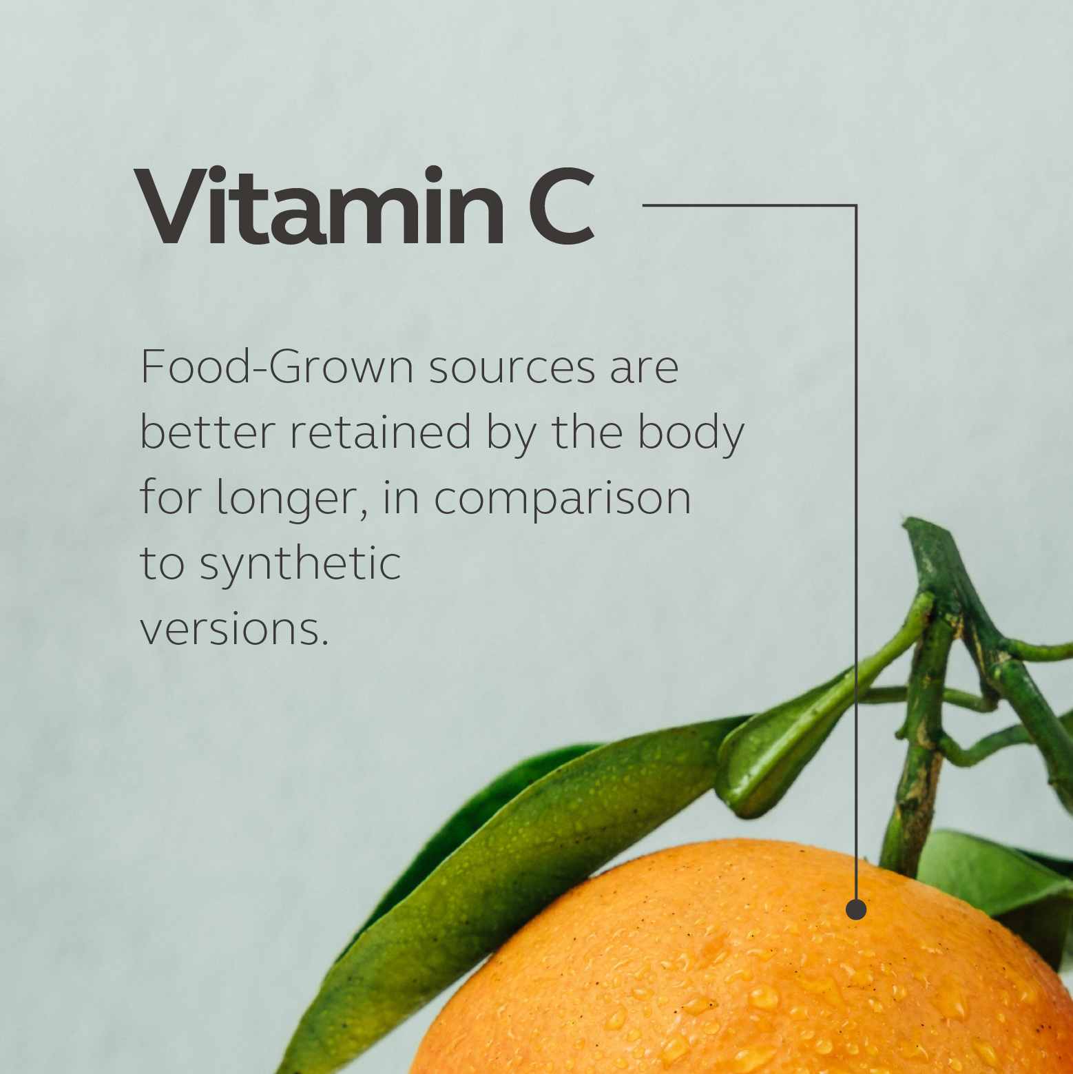 Food-Grown Immune Support - Vitamin C