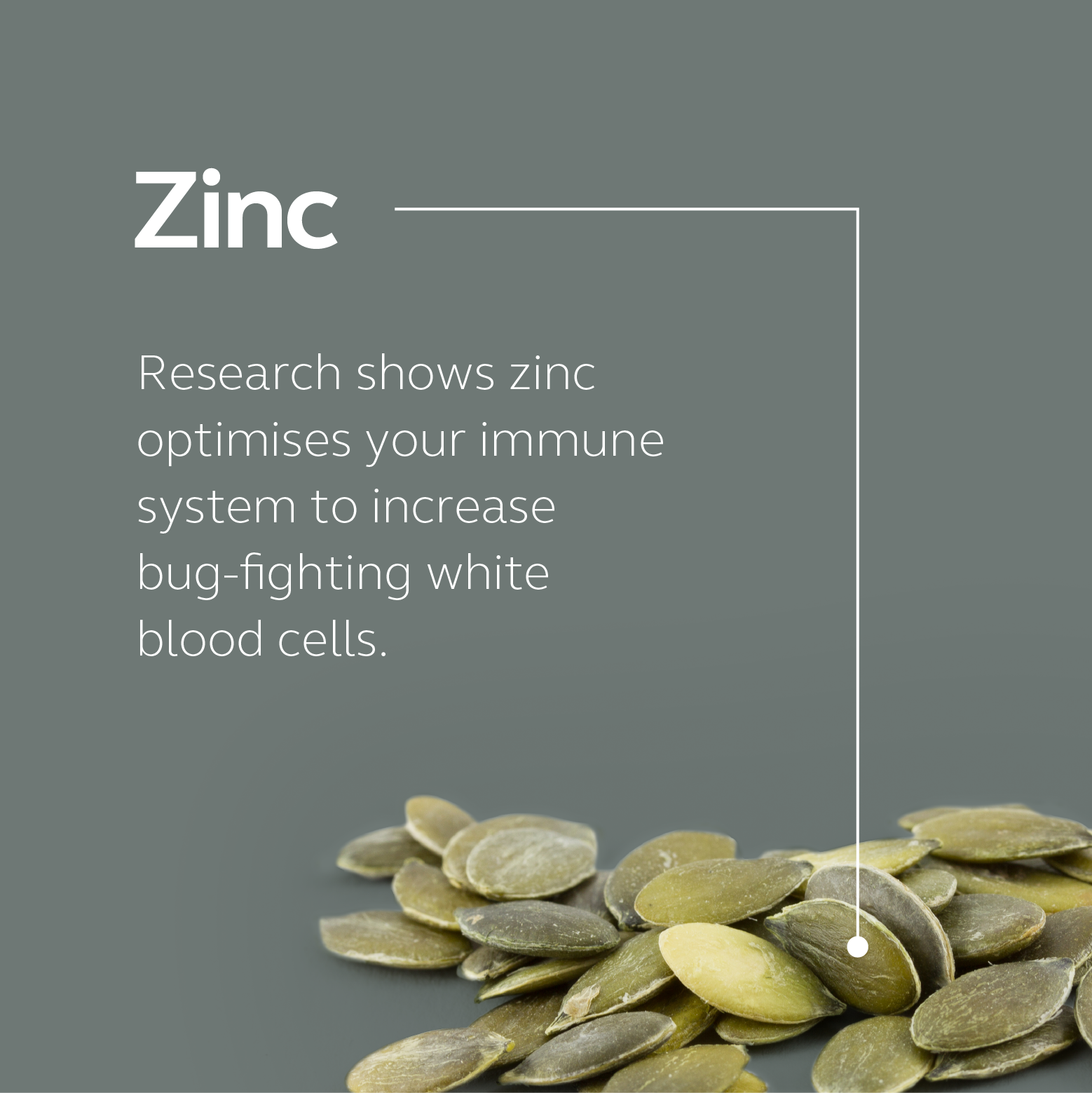 Food-Grown Immune Support - Zinc