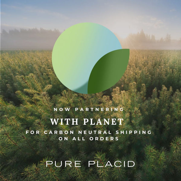 Carbon Neutral Shipping