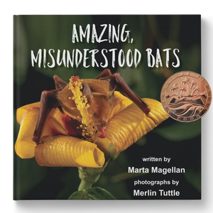 Amazing, Misunderstood Bats