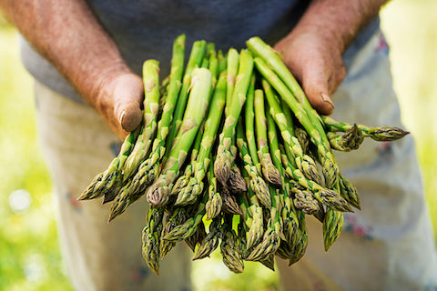 Fresh Spring Asparagus