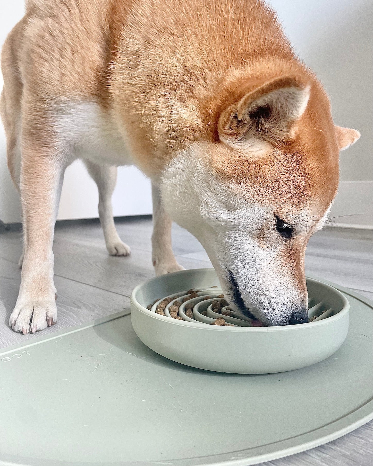 The Good Bowl by Ono / Self-Suctioning Double Pet Bowl + Placemat