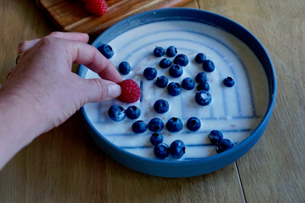 berry and yogurt frozen dog dessert