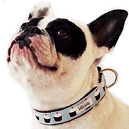 bella bean dog collars