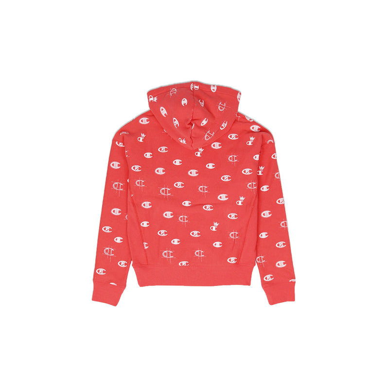 champion hoodie back print