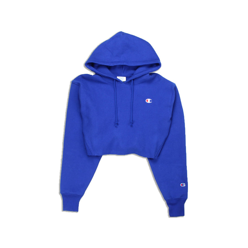 champion reverse weave hoodie surf the web