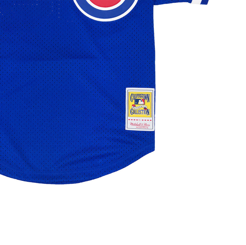 cubs bp jersey