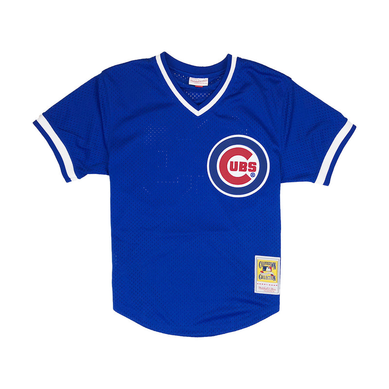 ryne sandberg cubs jersey