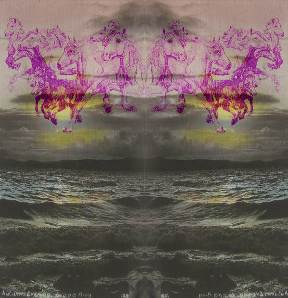Sea Wind 2013 purple Biro drawing montage Sea Voices series