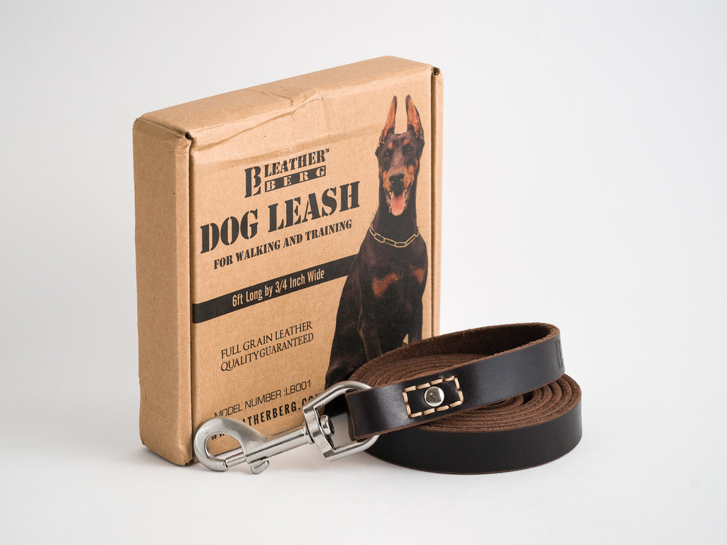 Rogue Leather Dog Leash