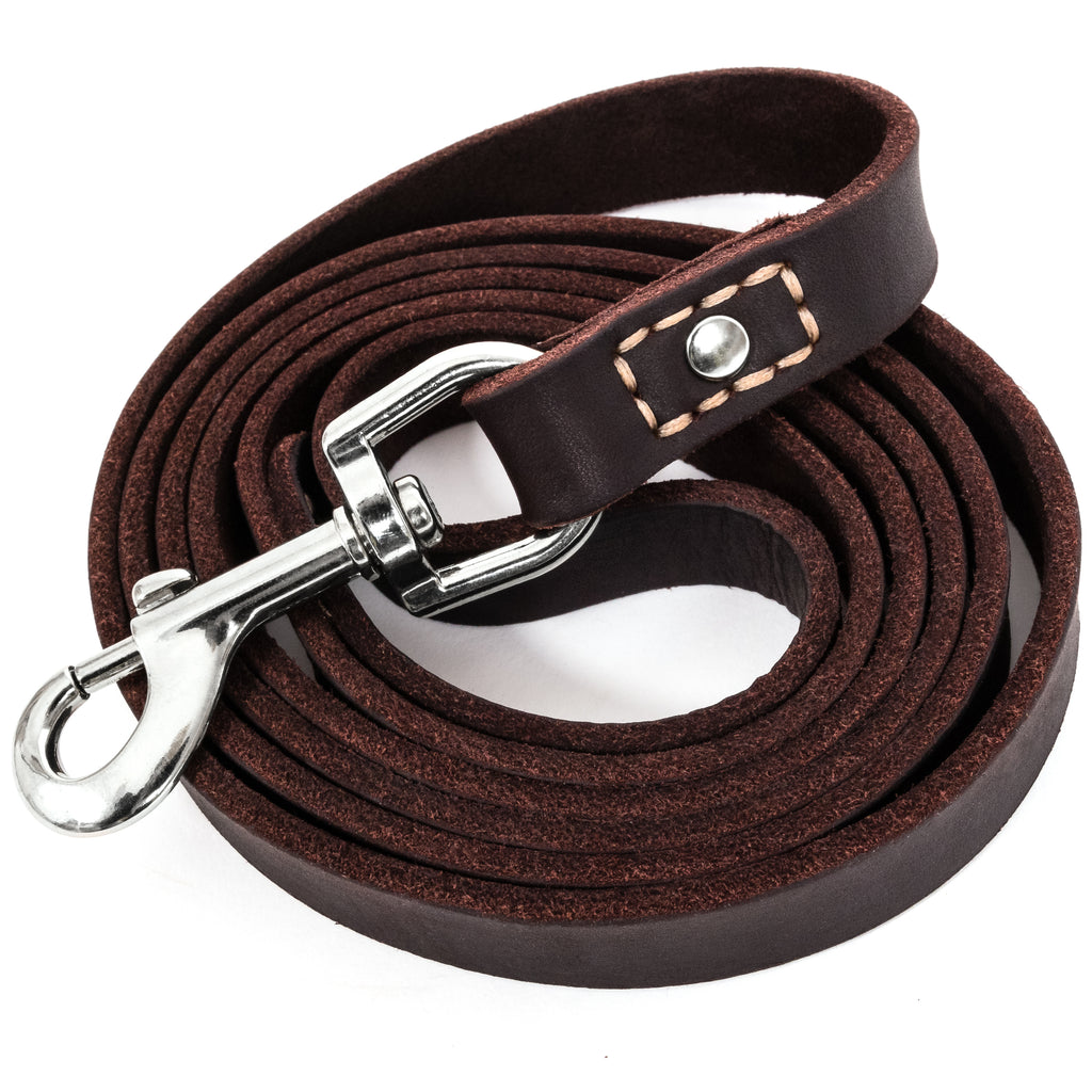 leather leash 6 ft