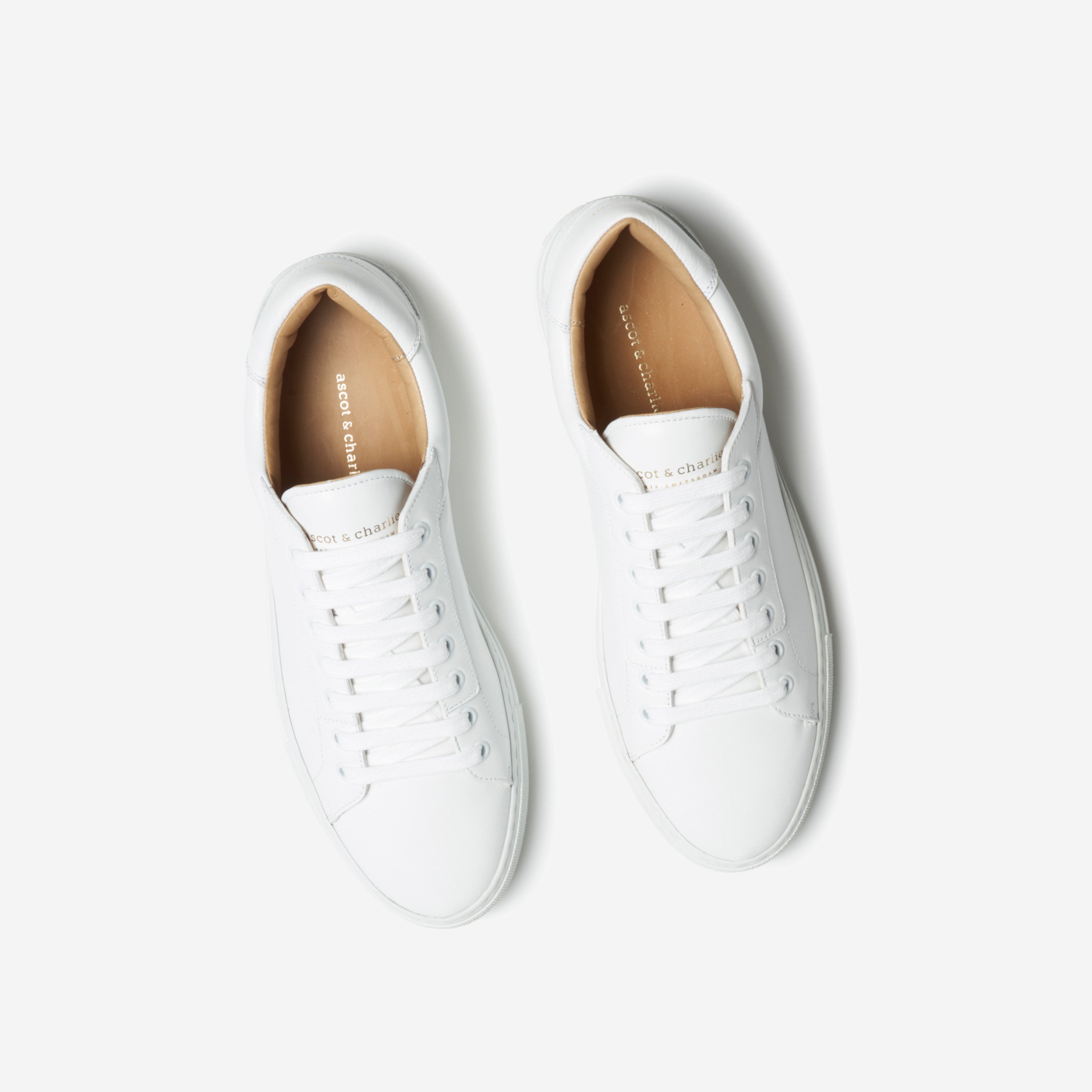 Lione Sneakers - White – Ascot X Charlie