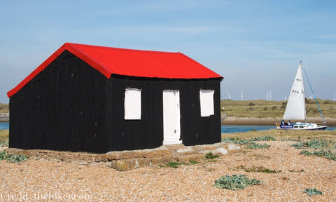 Rye Nature Reserve