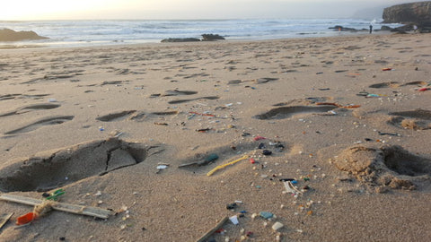 Plastic nurdle pollution credit Dilyana Mihaylova/FFI 