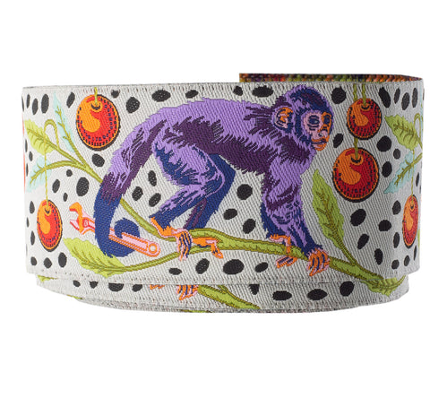 Tula Pink Monkey Wrench Ribbons