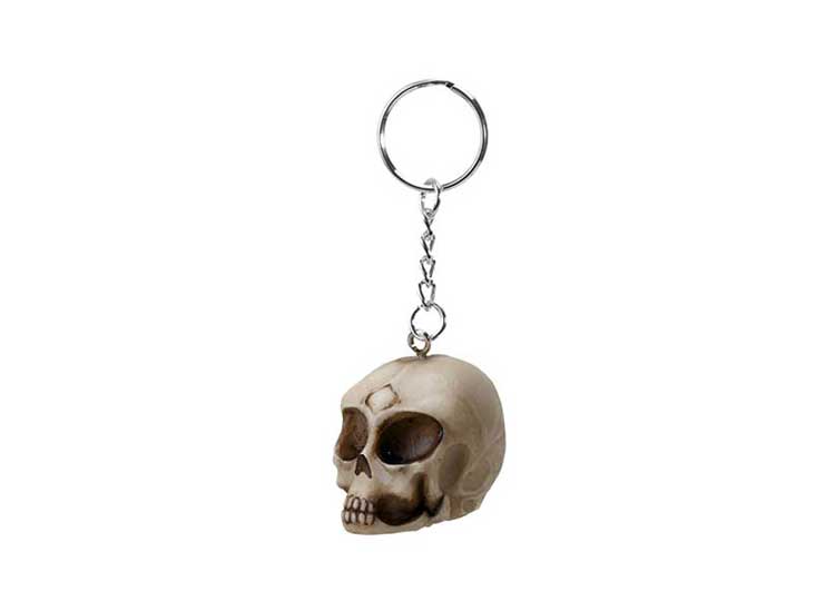 Shopuspro Skull Keychain Skull Head with Clip Metal Keychain with